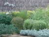 garden-design-in-wattle-park-adelaide